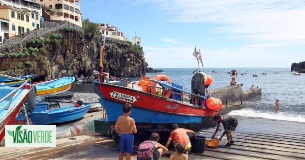 Captura total de mero e peixe-cão proibida no mar da Madeira a partir de 01 de agosto